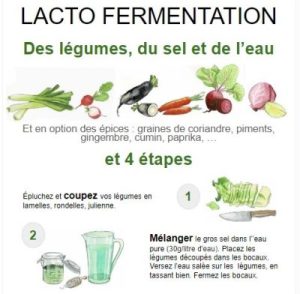 lactofermentation